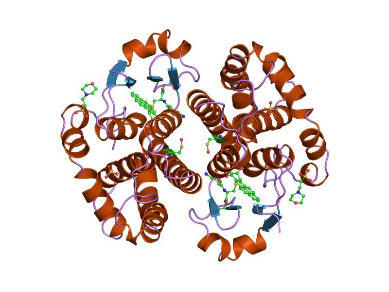 File:PDB 4pgt EBI.jpg