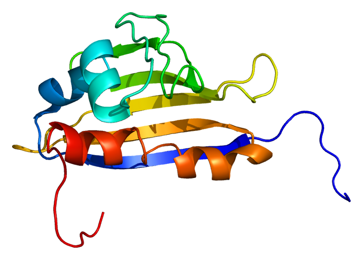 File:Protein AHSA1 PDB 1x53.png