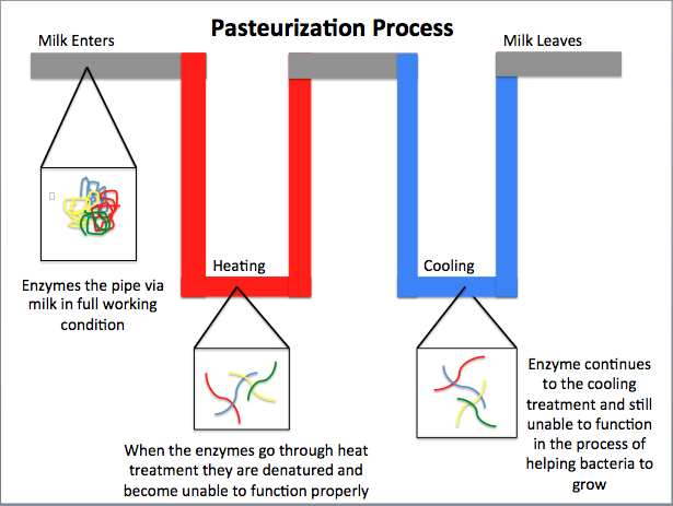 File:Simple Pasteurization.png