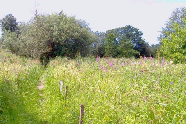 File:South Cheshire Way Crewe Green.jpg