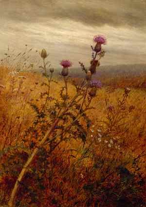 File:Thistle in a Field by Fidelia Bridges.jpg