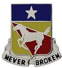 File:US 221st cav reg insignia.jpg