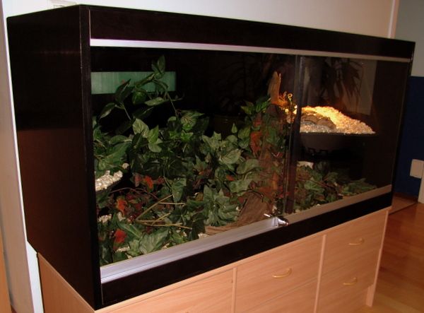 File:Vivarium with epoxy-coated plywood walls.jpg