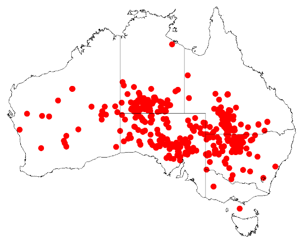 File:Acacia brachystachyaDistMap129.png