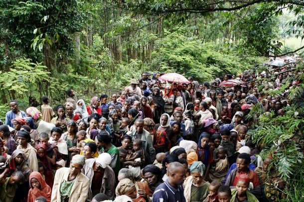 File:African forest.jpg