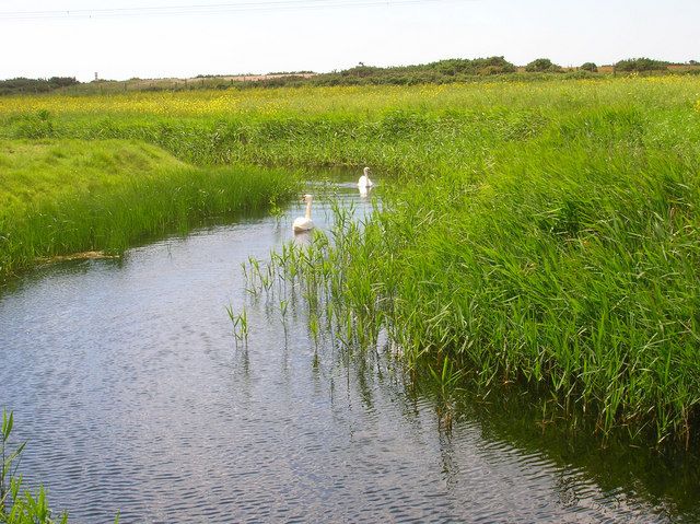 File:Dengemarsh Sewer - geograph.org.uk - 448997.jpg