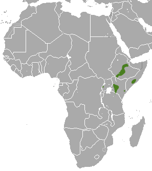 File:East African Epauletted Fruit Bat area.png