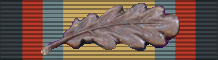 File:Gulf Medal BAR MID.png