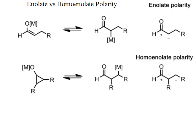 File:Homoenolate polarity.png