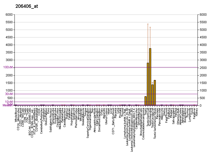 File:PBB GE SMCP 206406 at fs.png