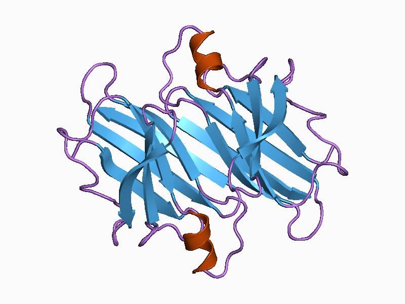 File:PDB 1bmz EBI.jpg