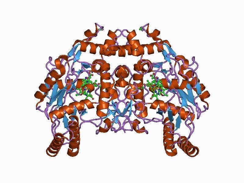 File:PDB 1d1y EBI.jpg