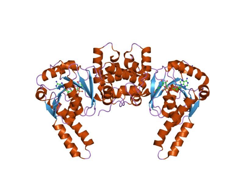 File:PDB 1f17 EBI.jpg