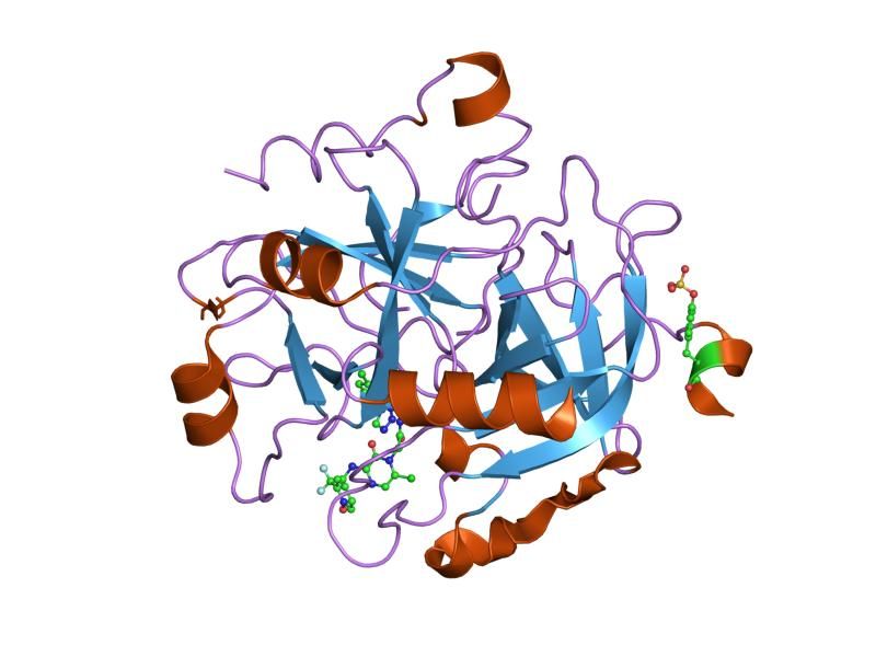 File:PDB 1sl3 EBI.jpg