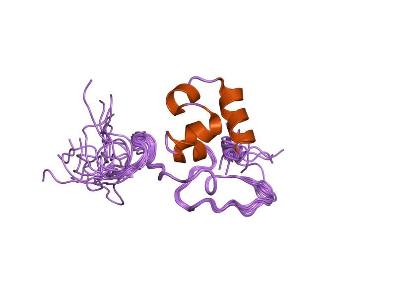 File:PDB 1ujs EBI.jpg