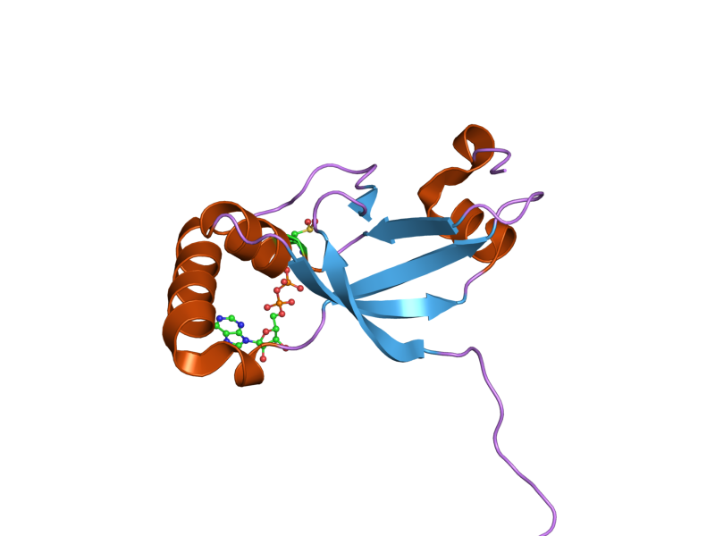 File:PDB 1xw4 EBI.png