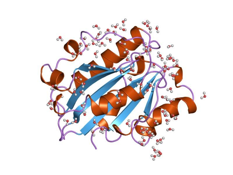 File:PDB 1zon EBI.jpg