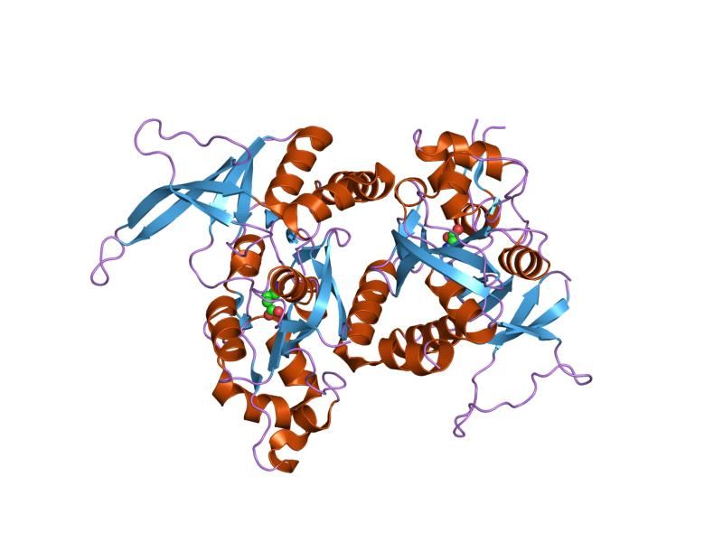 File:PDB 2a5t EBI.jpg