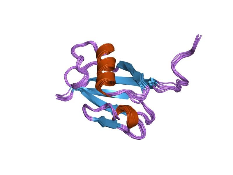 File:PDB 2rgf EBI.jpg