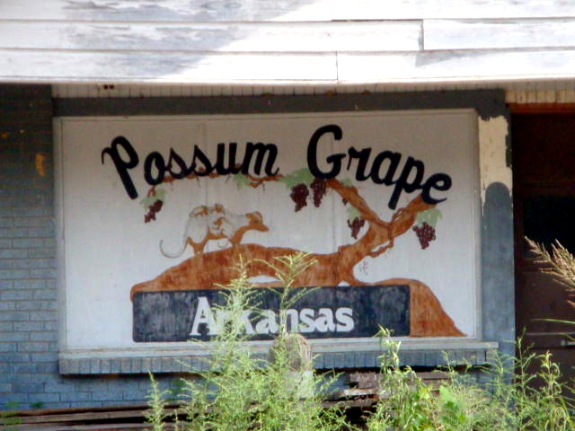 File:Possum Grape.png