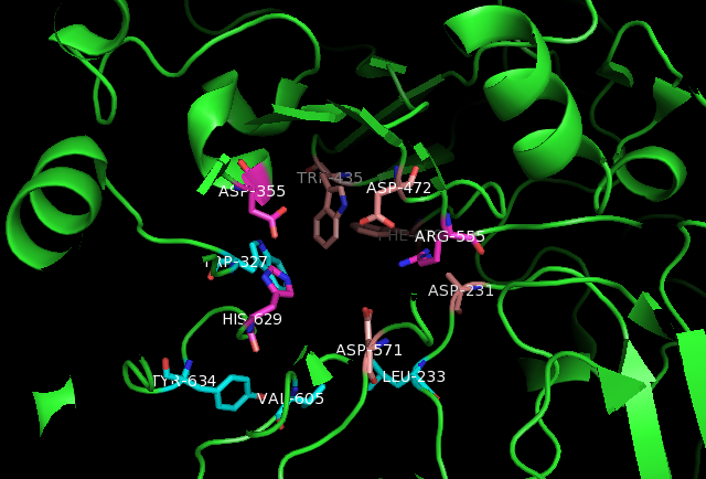 File:SI active site.png