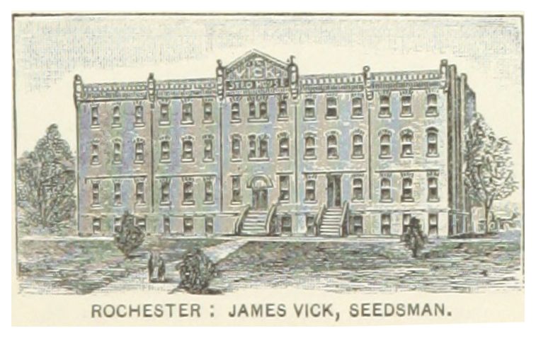 File:US-NY(1891) p643 ROCHESTER, JAMES VICK SEEDSMAN.jpg