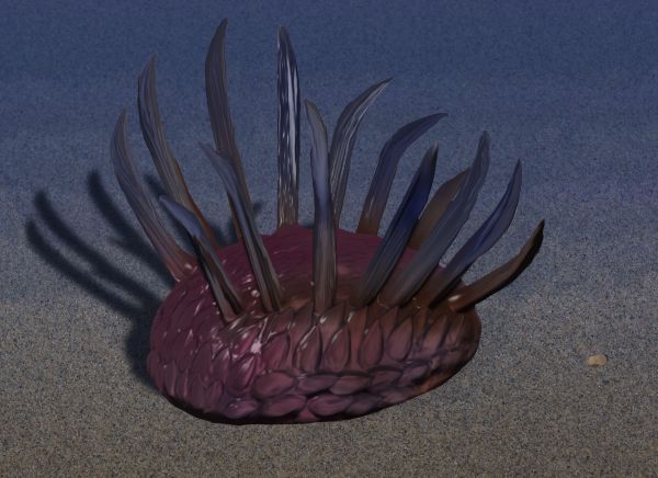 File:Wiwaxia NT.jpg