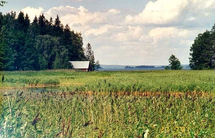 File:Österviken-Tuskas.jpg