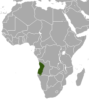 File:Angolan Epauletted Fruit Bat area.png