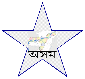 File:AssamBarnstar.png