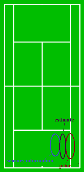 File:Bayesian tennis court.png