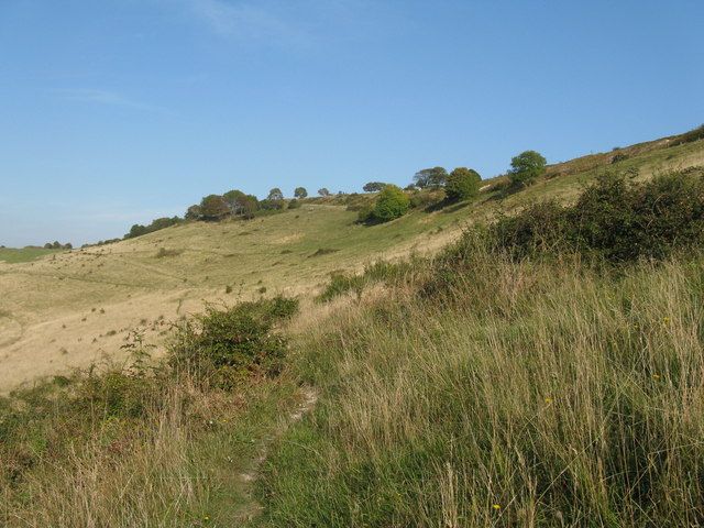 File:Cissbury Ring - geograph.org.uk - 1514944.jpg