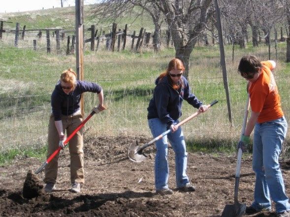 File:GYSD Volunteers.jpg