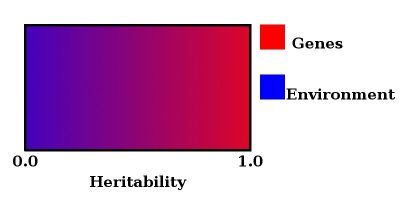 File:GxE-herit-fig1.jpg