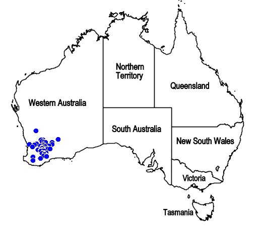 File:Map.Dicrastylis corymbosa.jpg