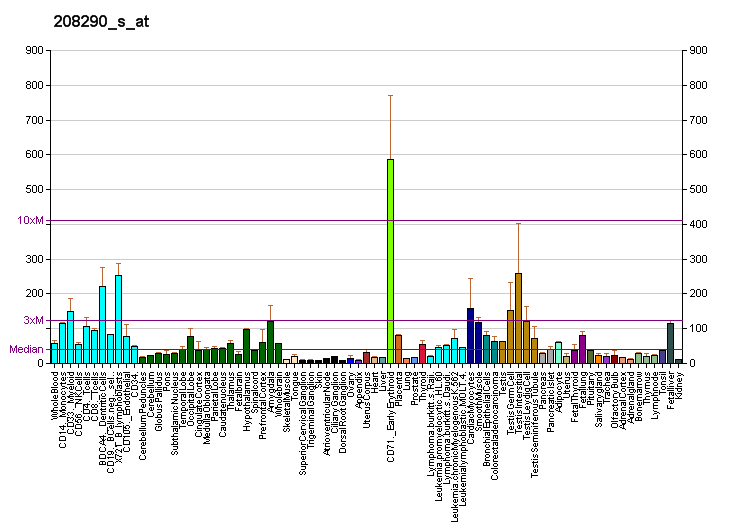 File:PBB GE EIF5 208290 s at fs.png