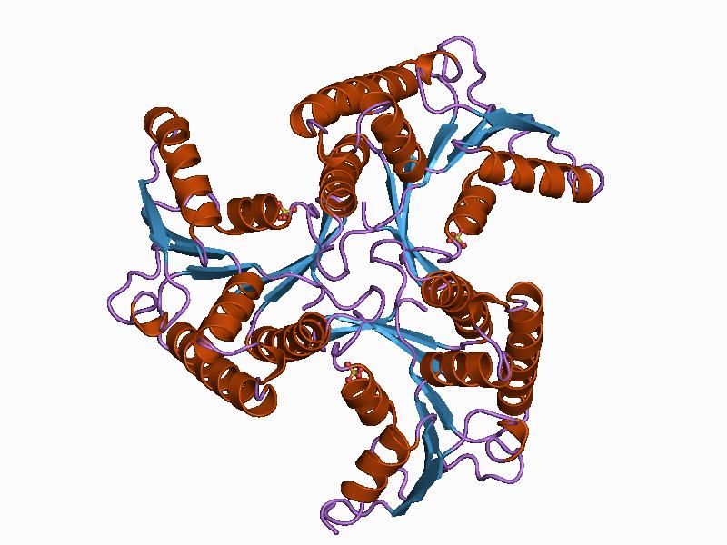 File:PDB 1cbu EBI.jpg