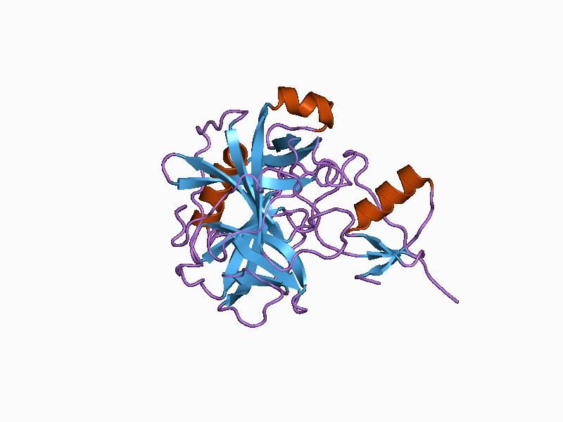 File:PDB 1cgi EBI.jpg