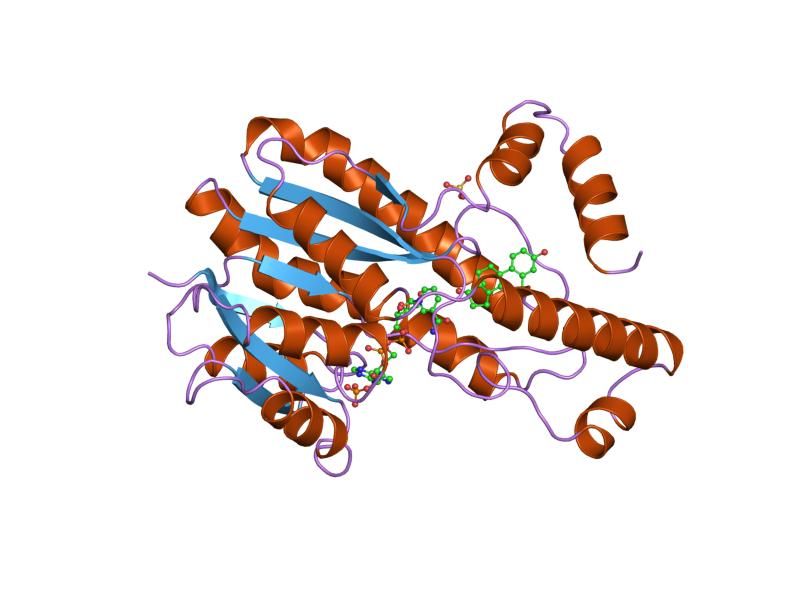 File:PDB 1fdt EBI.jpg