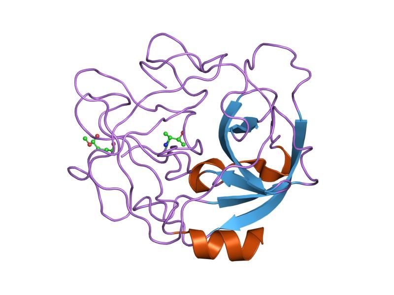 File:PDB 1hne EBI.jpg