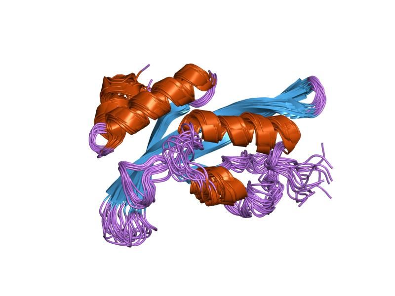 File:PDB 1kpq EBI.jpg