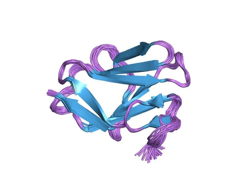 File:PDB 1pd6 EBI.jpg