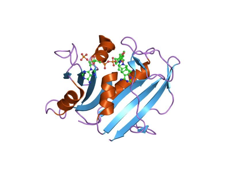 File:PDB 1s3w EBI.jpg