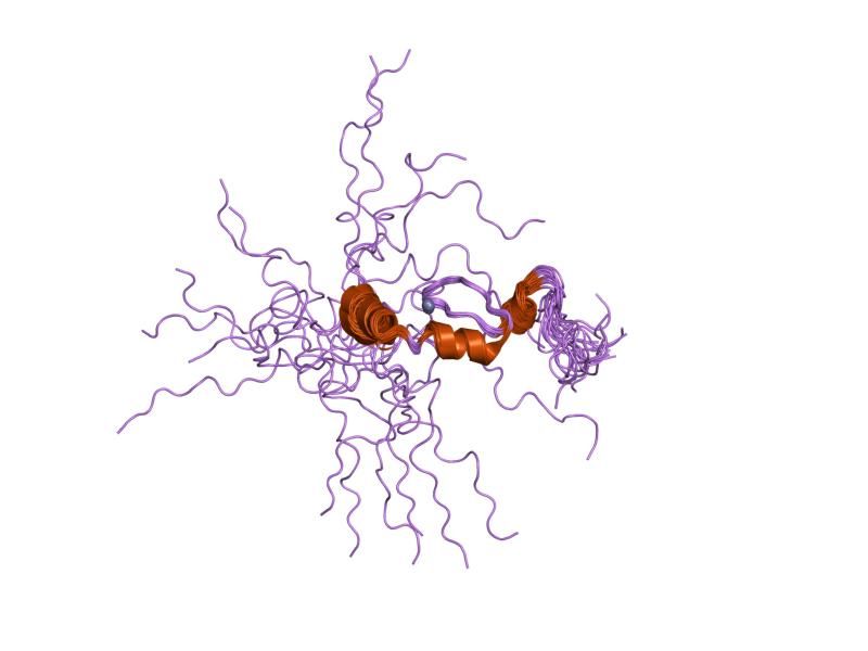 File:PDB 1zr9 EBI.jpg