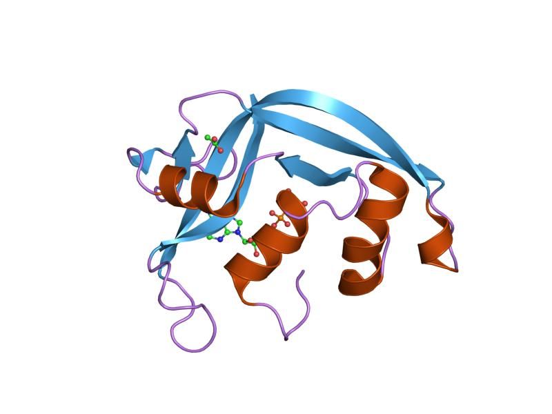 File:PDB 2c02 EBI.jpg