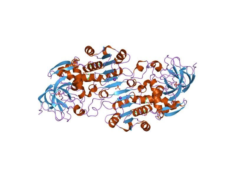 File:PDB 2fze EBI.jpg