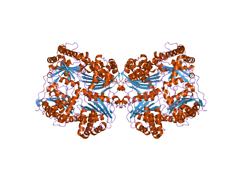 File:PDB 2g47 EBI.png