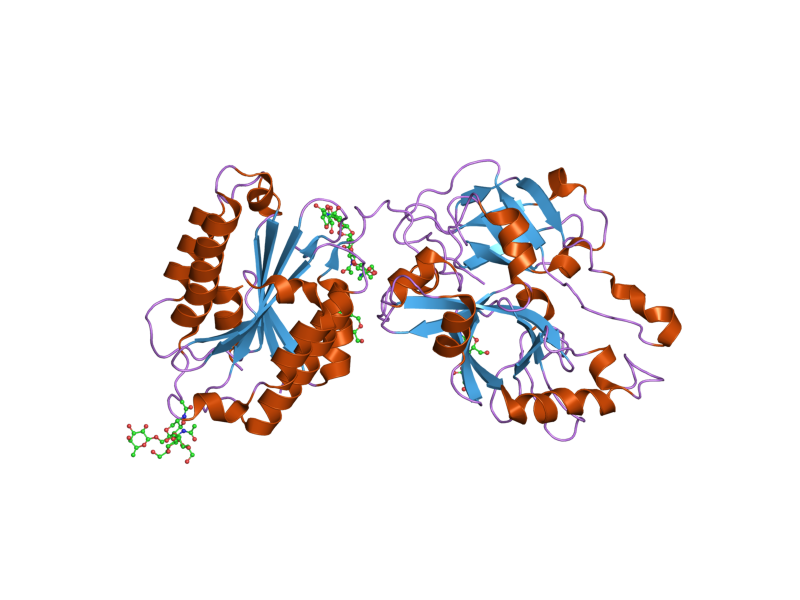 File:PDB 2i6s EBI.png