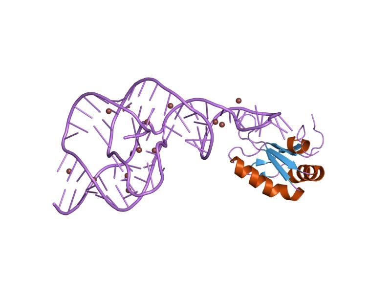 File:PDB 2oih EBI.jpg