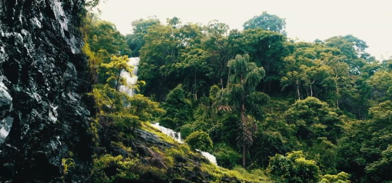 File:Paloor Kotta Waterfall, Perinthalmanna (3).png